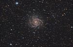 IC 342