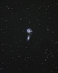 Arp 271