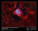 NGC 6820 im F&uuml;chslein